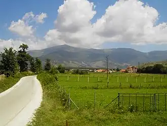 Aranguel