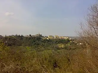 Ari (Italie)