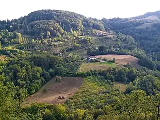 Kruščica (Arilje)