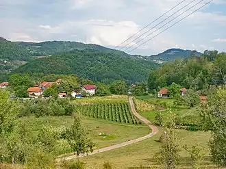 Severovo