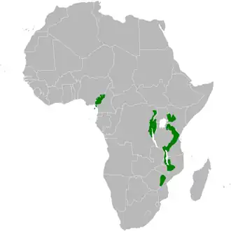 Description de l'image Arizelocichla distribution map.png.