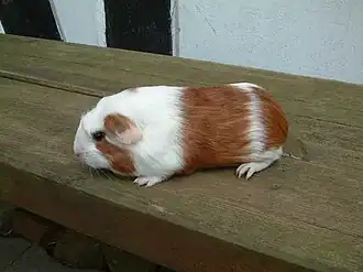 ""