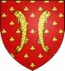 Les armes Riant remontent à Jacques Riant, capitaine d’une compagnie de cent hommes des ordonnances sous Louis XII (1462-1515) . Elles seront utilisées par les Riant de Villeray et la branche de la famille aujourd’hui subsistante depuis la fin du XVIIIe siècle. Devise : Nomen omen Le nom est un présage Distinctions : Ordre de Saint Grégoire le Grand