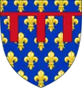 En 1246, il hérite des fiefs et des armes de son frère aîné Jean, mort sans enfants en 1232.