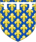 Jusqu'au XIVe siècle :d'azur semé de fleurs de lys d'or au lambel d'argent.