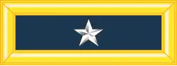 Brigadier général(général de brigade)