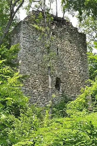 Image illustrative de l’article Château de Strassfried