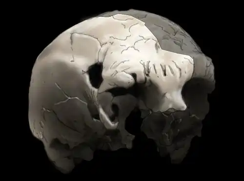 Image illustrative de l’article Aroeira 3