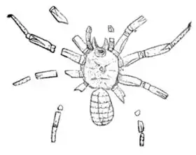 Description de cette image, également commentée ci-après