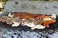 Asado au Chili.