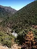 Début des gorges de l'Asco.