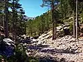Ruisseau de Tassineta.