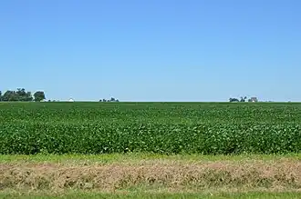 Ashkum Township