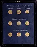 Aspect of Mars.