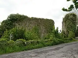 Photographie d'un mur ruiné couvert de lierre