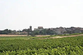 Vue d'ensemble.