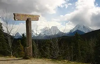 Image illustrative de l’article Col Athabasca