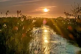Paysage