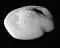 Atlas (lune)