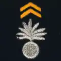 Centre national d'entrainement commando - 1er régiment de choc