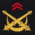 40e et 54e régiments d'artillerie