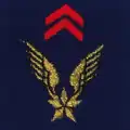 Aviation légère de l'Armée de terre