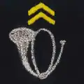 Chasseurs à pieds - chasseurs alpins