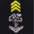 Chasseurs d'Afrique