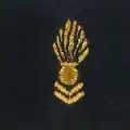 Corps des officiers spécialistes de l'Armée de terre (COSAT/OCTA)