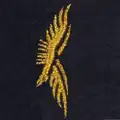 25e régiment du génie de l'air