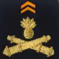 28e groupe géographique