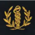 Service de santé des Armées - Régiment médical