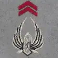 Régiment de soutien du combattant