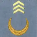 1er régiment de tirailleurs