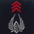 Train - tradition Armée d'Afrique