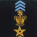 41e régiment de transmissions