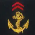 Troupes de marine