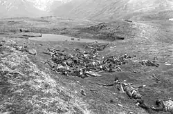 Photo de soldats japonais morts lors de la baille d'Attu.