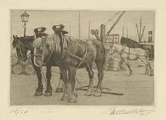 Au repos : chevaux.
