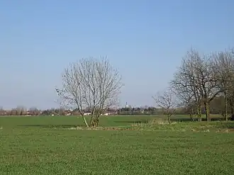 Aubers