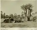 Tente de bédouins - Biskra - c. 1875.