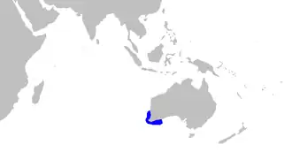 Description de l'image Aulohalaelurus labiosus distmap.png.