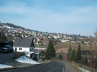 Bermsgrün