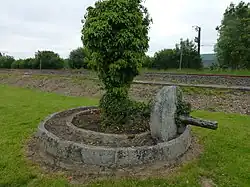 pressoir à cidre