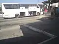 Autocar grand tourisme S-403 à la gare routière de Kraljevo