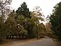 Le parc central de la ville en automne