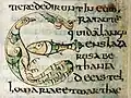 Lettre zoomorphe, vers 755.