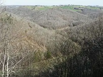 Les gorges de l'Auvézère entre Génis et Saint-Mesmin.