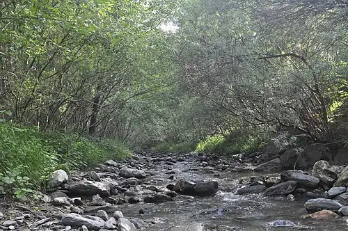 Rivière de Saint-André.