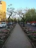 Avenue Isidoro del Solar